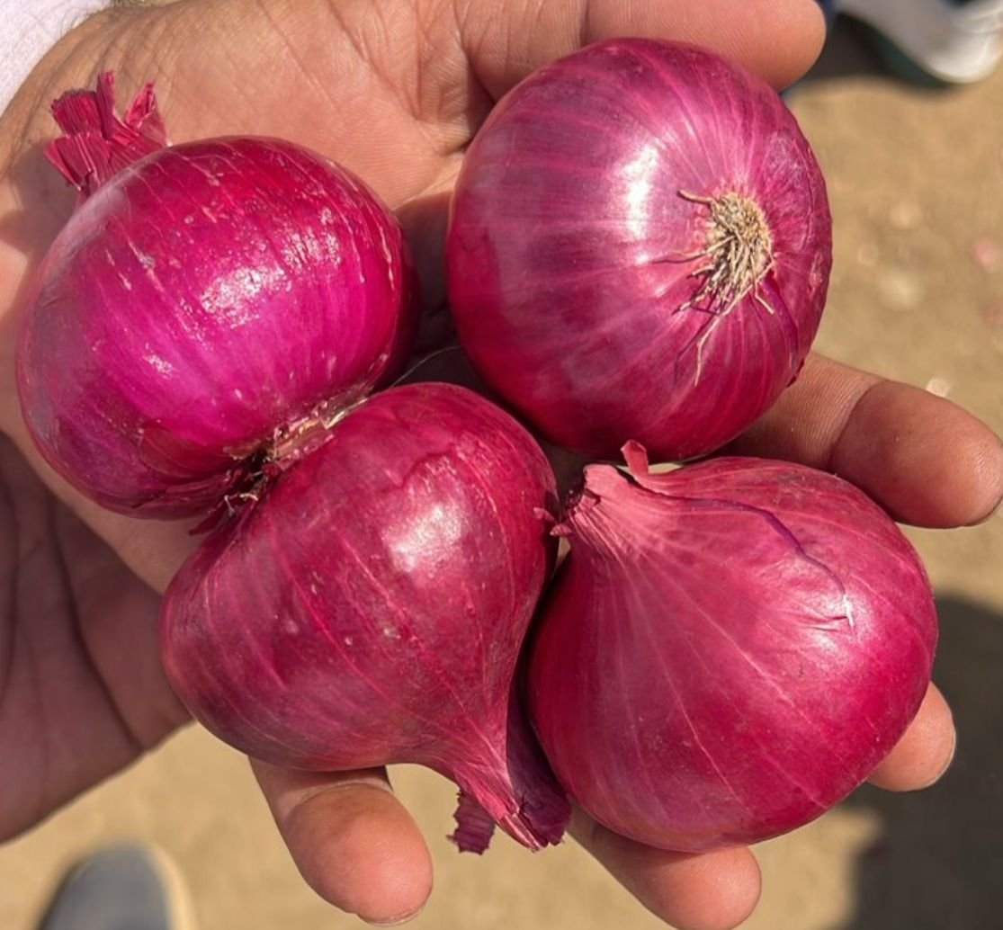 Why Source Fresh Produce from India for Sri Lanka?